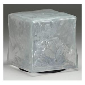 wizards lizard gelatinous cube